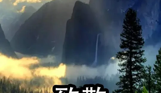 非线性导演剪辑